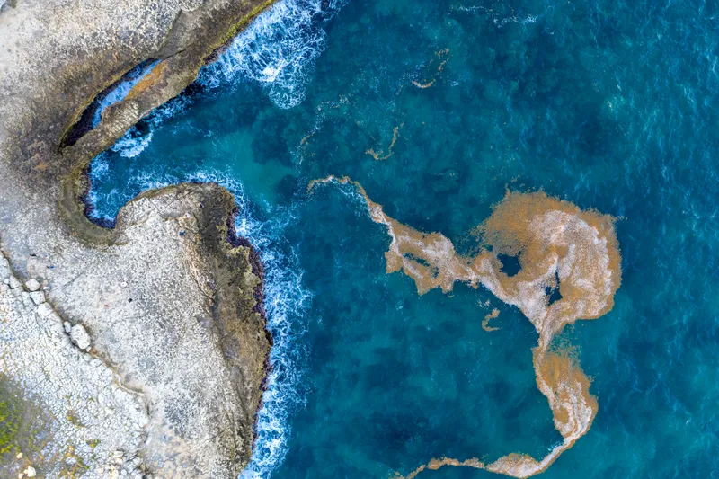 Aerial Rocky Coastline