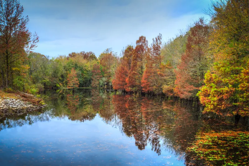 Autumn Lake Reflections