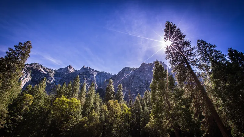 Yosemite Sunburst