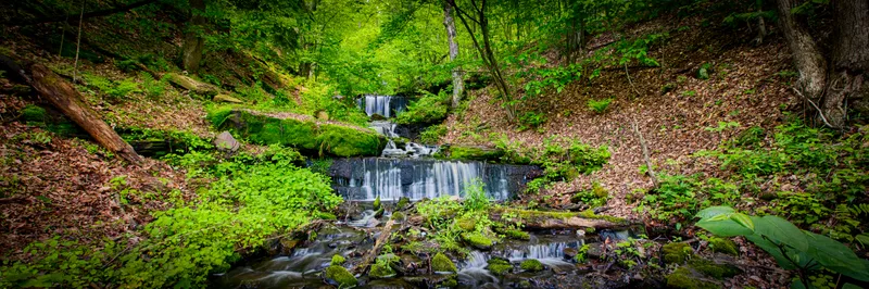 Forest Stream Cascade